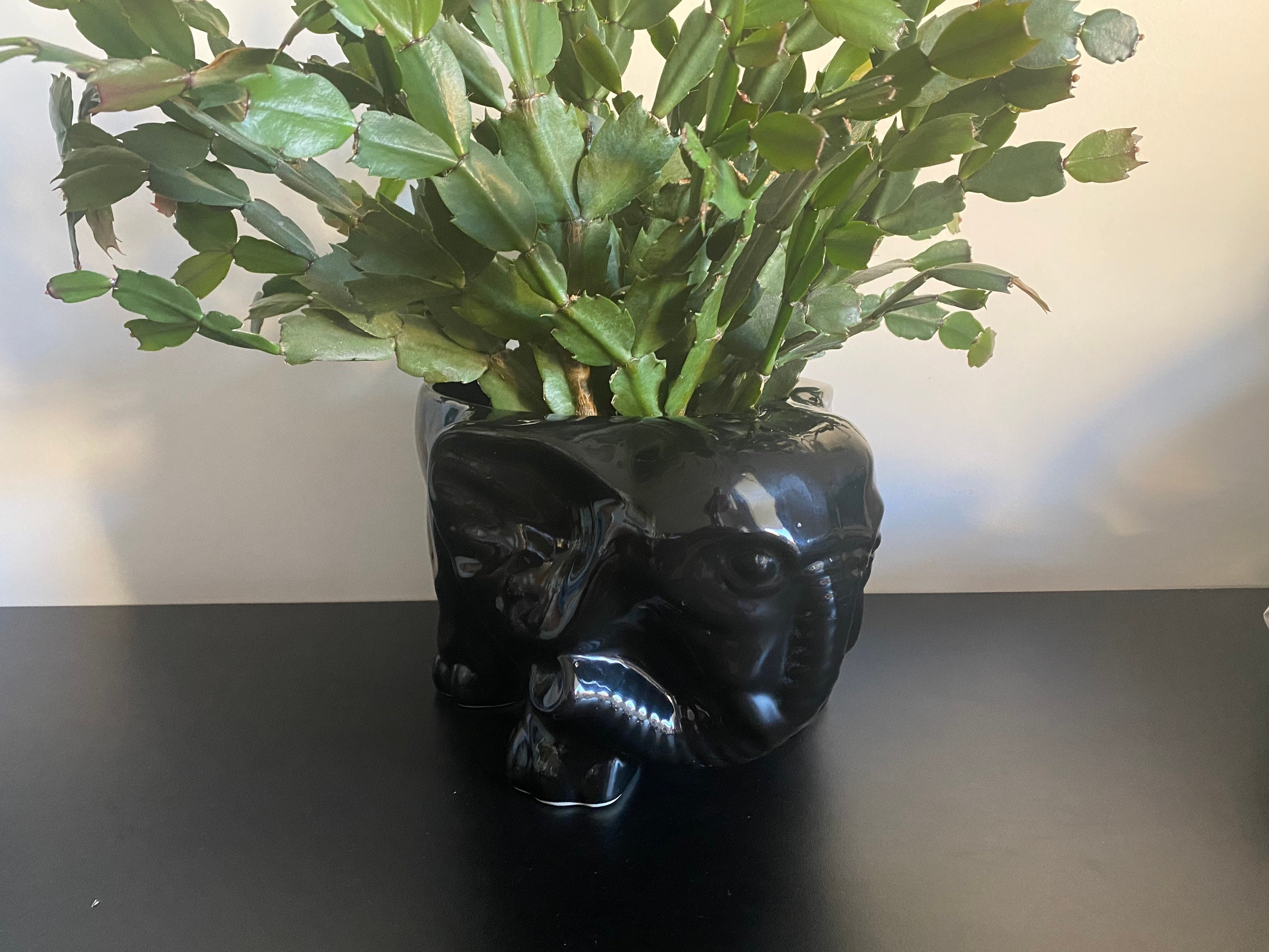 Cache-Pot Elephant Céramique Noire Deco Coupe Range Couverts Pot Cache Black Ceramic Cactus Succulen