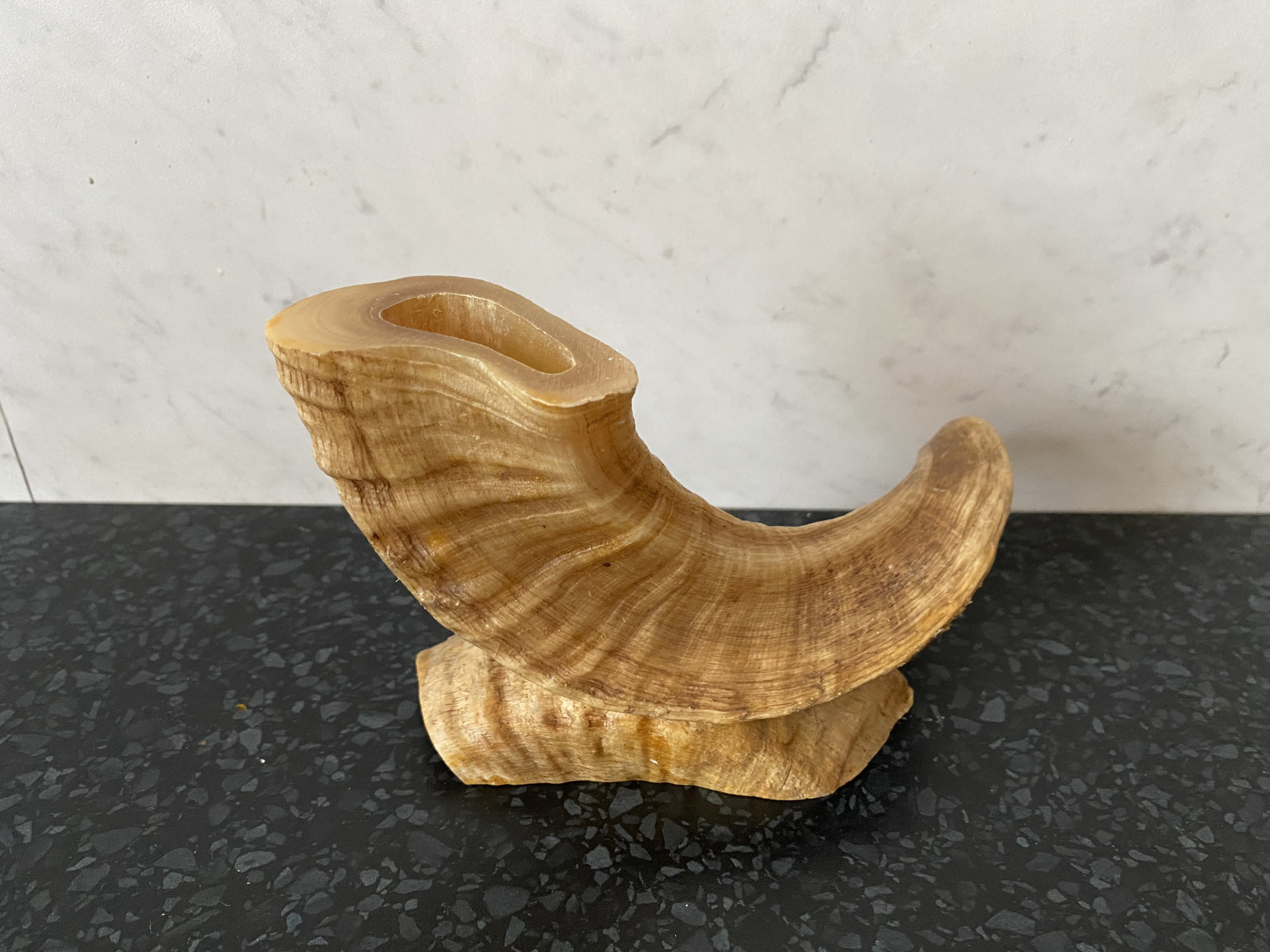 Sculpture en Corne Veritable Vintage 1960 French Antique Horn Sculture Midcentury Campagne Modern Co