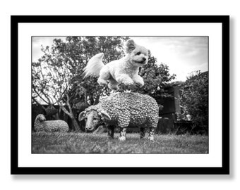 Black and white dog photography wall art prints, Dog lover gift, dog art prints photography. Puppy art bedroom wall decor. Large art,