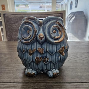 May include: A ceramic owl-shaped planter in shades of blue and brown. The owl has large, detailed eyes and textured feathers. The planter is sitting on a wooden table.
