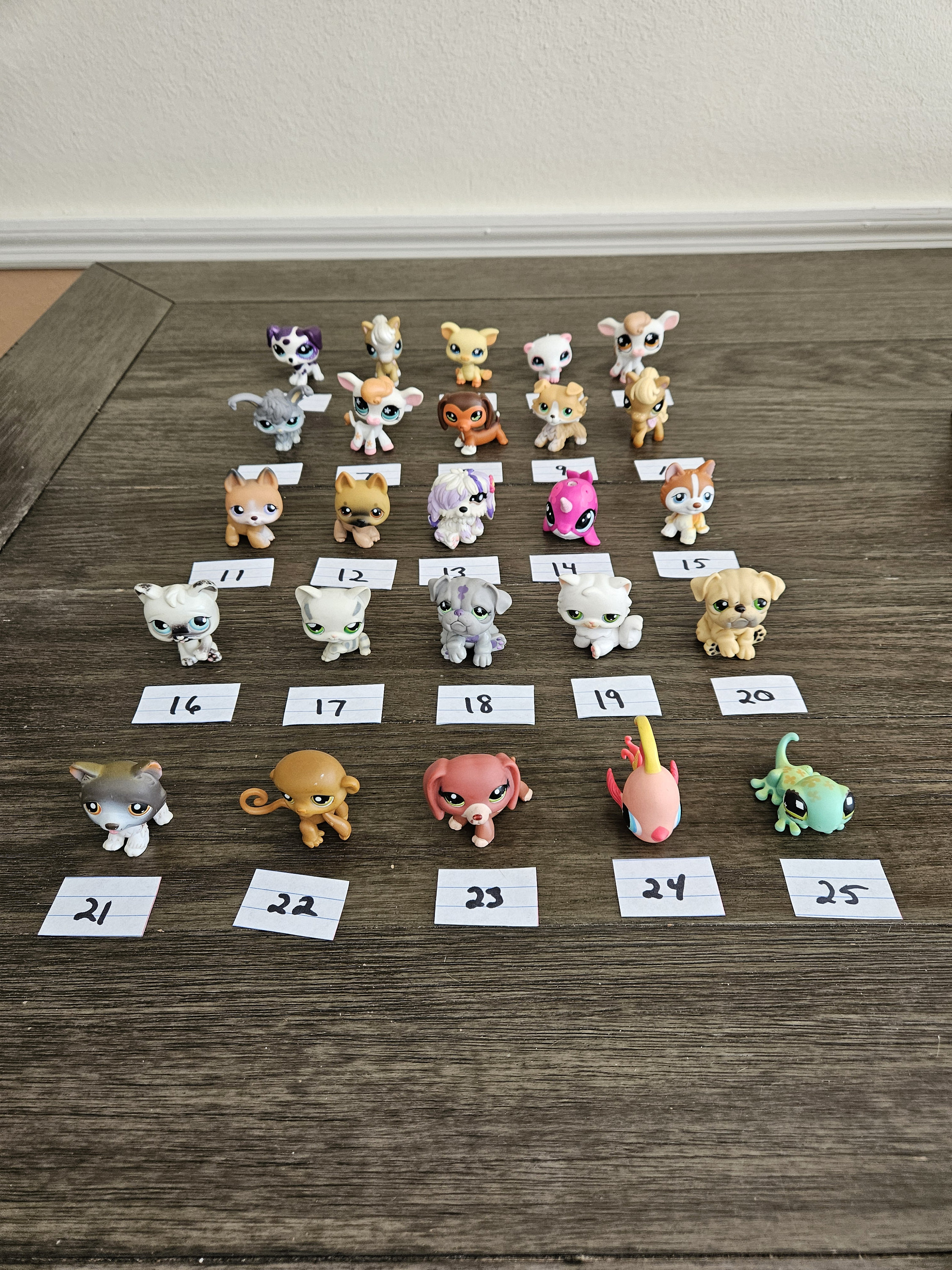 Old lps cats 2025 and dogs