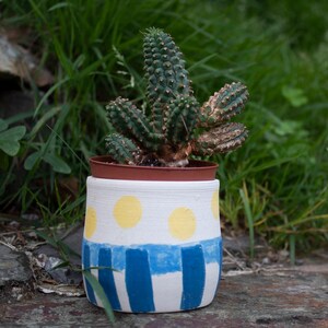 Charming Hand-Painted Planter for Cacti & Succulents with Drainage Hole