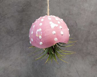 Maceta colgante de medusa de cerámica para plantas de aire, maceta de tillandsia rosa hecha a mano, soporte para plantas de aire colgante de erizo de mar para decoración costera