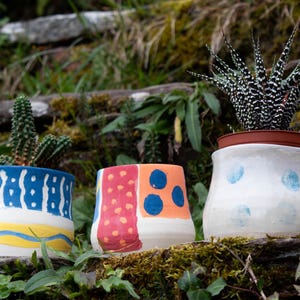 Vibrant Handcrafted Stoneware Succulent Pot - Perfect Home or Office Decor