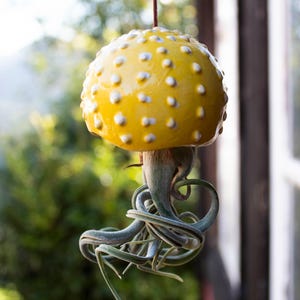 Elegant Ceramic Jellyfish Air Plant Hanger, Coastal Home Accent
