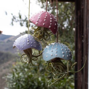 Può includere: Tre vasi di ceramica a forma di fungo con piante aeree appese. I funghi sono rosa, viola e blu con pois bianchi.