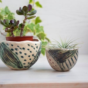 May include: Two small ceramic planters with green and white geometric patterns. The planter on the left has a succulent plant with green leaves. The planter on the right has a small air plant with long, thin leaves.