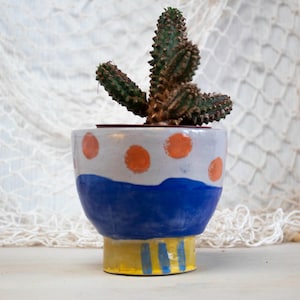 May include: A small, blue and white ceramic planter with orange polka dots and a yellow and blue striped base. A green cactus plant is growing in the planter.