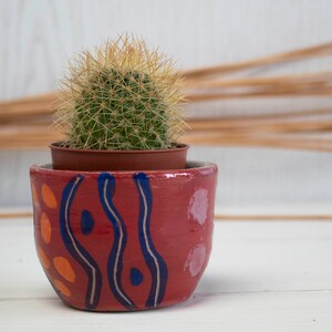 May include: A small cactus plant in a red terracotta pot with blue and orange painted designs. The pot has a textured surface.