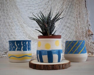 Fioriera Colorata Con Scultura Ondulata – Vaso Per Piante Grasse In Resina, 15x15x13cm, Per Interni/Esterni, Regalo Per Appassionati