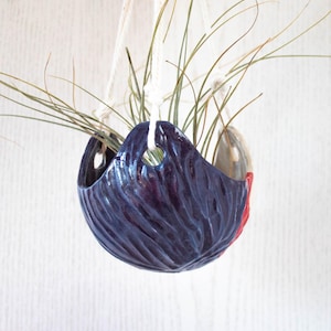 Puede incluir: Un macetero colgante de cerámica azul oscuro con una superficie texturizada y un acento rojo. El macetero está lleno de una planta de aire verde.