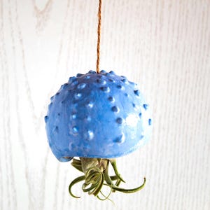 Pode incluir: Um vaso de cerâmica azul com uma superfície texturizada pendurado em uma corda. O vaso está cheio de uma planta de ar verde.