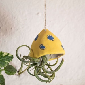 Small Ceramic Air Plant Pot, Hanging Planter for Unique Wall Decor and Plant Display