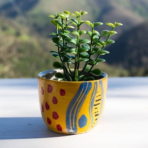 Può includere: Una piccola pianta verde in vaso in un vaso di ceramica giallo con disegni astratti blu e rossi.