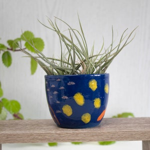 Bunter Keramik-Übertopf für Sukkulenten und Kakteen - Sea Life Inspiriert Design