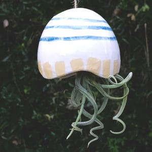 May include: A white ceramic jellyfish-shaped planter with blue stripes and yellow accents, suspended by a string. The planter holds a green air plant with curly, trailing leaves. A unique, decorative item for home decor.