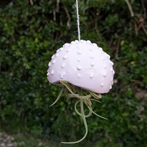 Puede incluir: Un macetero de cerámica blanco con forma de medusa con una pequeña planta de aire creciendo en su interior. El macetero tiene lunares blancos y está colgado de una cuerda.