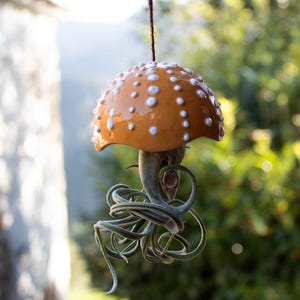 May include: A ceramic mushroom planter with white polka dots hangs from the ceiling. A green air plant grows inside the planter.