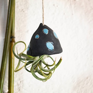 Unique Air Plant Holder - Hanging Planter for Indoor/Outdoor Garden Decor
