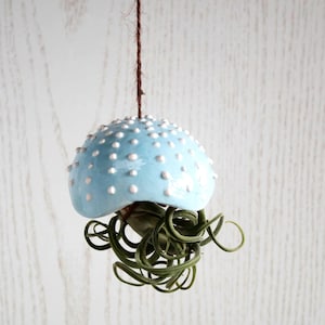 Air Plant Pot, Tillandsia Display, Jellyfish Ceramic Planter, Cute Planter Indoor