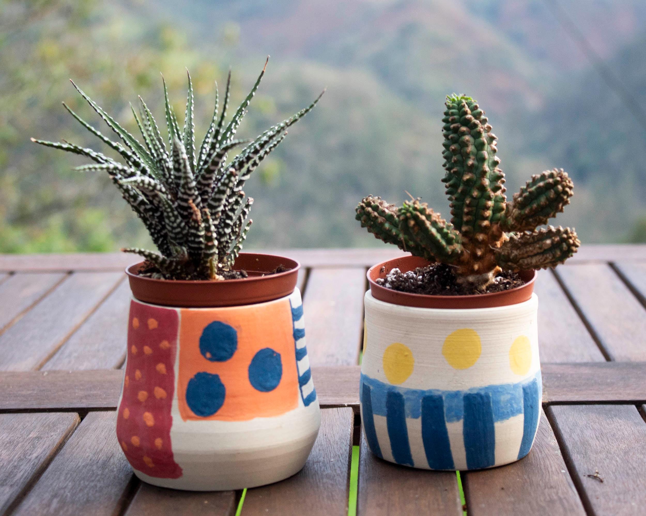 Fioriera in cemento: vaso per piante grasse e cactus da interno/esterno