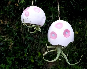 Handcrafted Ceramic Air Plant Holder Set: Beach House Decor