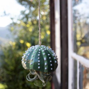 Può includere: Un vaso in ceramica verde e bianco a forma di riccio di mare con una piccola pianta d'aria che cresce al suo interno. Il vaso è appeso a una corda.
