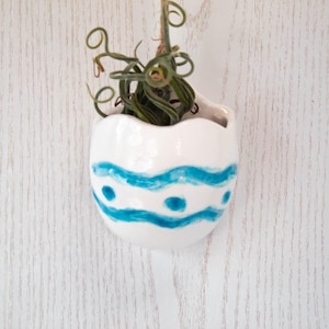 Wall pocket planter for plant display and wall decor