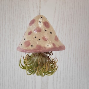 Air Plant Holder Pot, Dots Handpainted Ceramic Planter