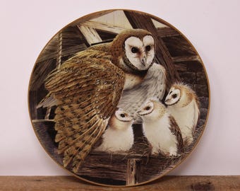 Vintage "Barn Owl - Embracing Chicks" by A.J. Rudisill - Franklin Porcelain