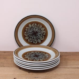 May include: A stack of six brown and white ceramic dinner plates with a floral design. The plates have a brown rim and a white centre with a brown and blue floral pattern.