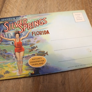 Silver Springs - Floride U.S.A. — Pochette pour cartes postales souvenir - D-3945