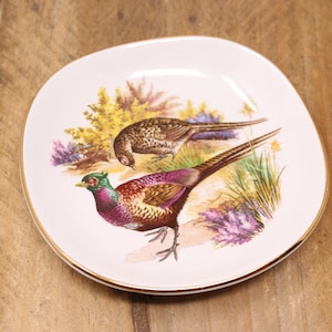 May include: A white ceramic plate with a gold rim features a painted design of two pheasants in a woodland setting. The pheasants are depicted in realistic detail with vibrant colors, including brown, green, purple, and yellow.