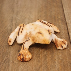 Vintage Painted Cast Iron Frog Paperweight