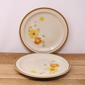 2 Autumn Glory - Andre Ponche Designer Stonecrest Stoneware - Vintage Dinner Plates