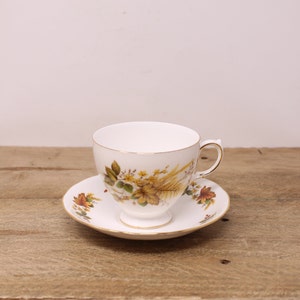 Vintage Queen Anne  “Fall Design” Bone China Cup & Saucer — 8219