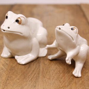 Frog Salt & Pepper Shakers