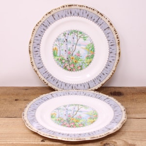 May include: Two white ceramic plates with a light blue border and a gold rim. The center of each plate features a scenic illustration of a lakeside with trees and flowers. The plates have a scalloped edge.