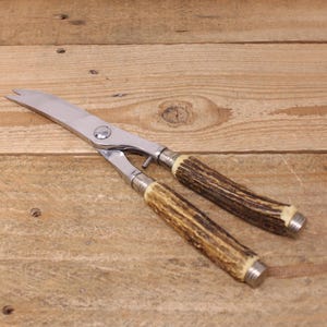 Vintage Anton Wingen Jr. Othello Solingen Poultry & Kitchen Shears with Faux Stag Horn Handles - Germany