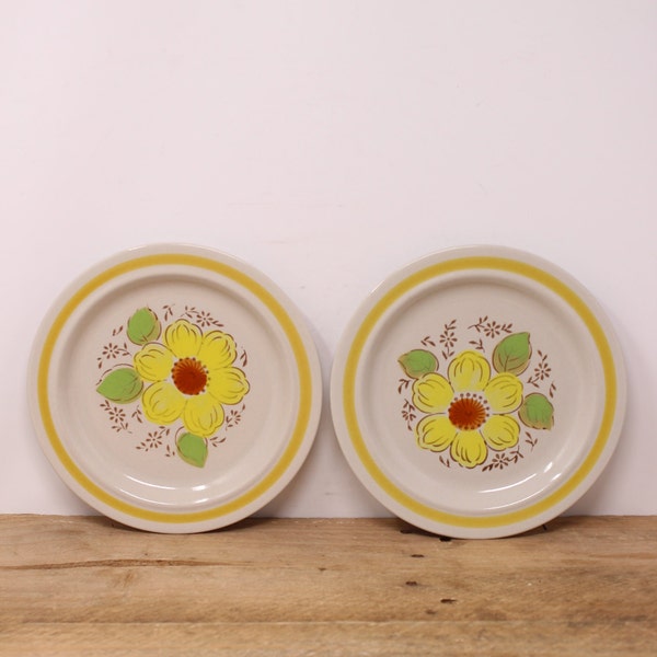 2 Bouquet Stoneware - Vintage Salad Plates / Dessert Plates Japan