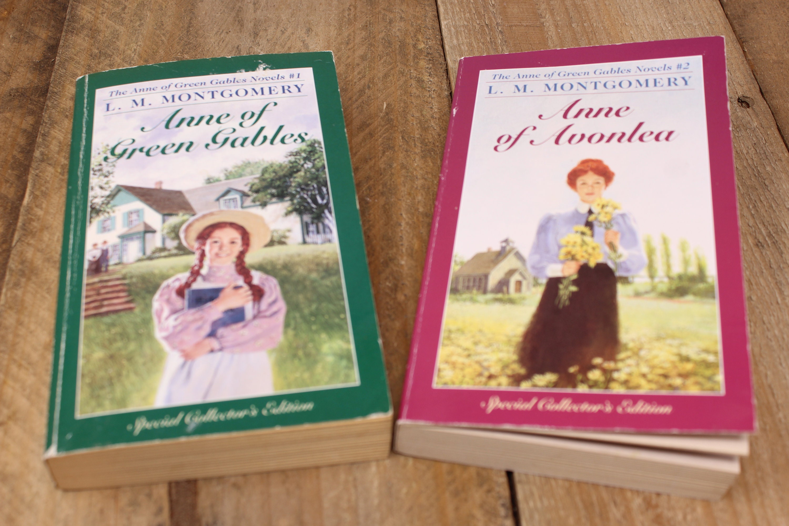 Anne Of Green Gables Book 1