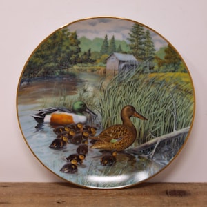 May include: A decorative ceramic plate featuring a painting of a mother duck and her ducklings swimming in a pond. The plate has a gold rim and a green, brown, and blue color scheme.