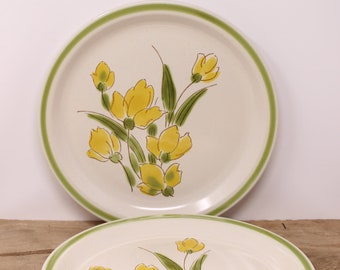 2 Stonybrook  Stoneware - Vintage Dinner Plates - Japan