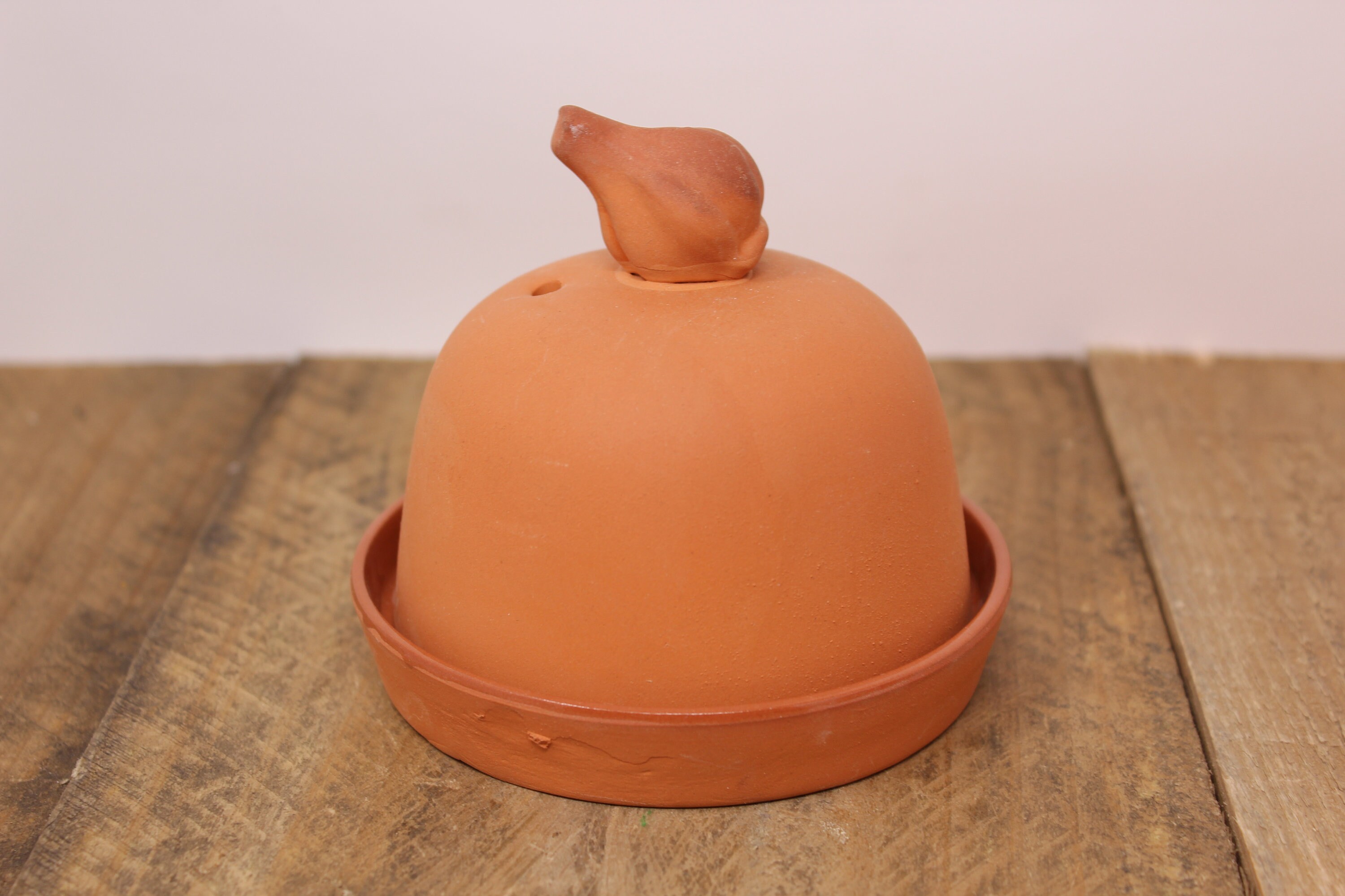 Terra Cotta Garlic Baker by Boston Warehouse Trading Etsy
