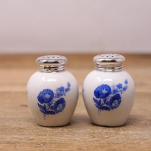May include: A pair of white ceramic salt and pepper shakers with blue floral designs and silver tops.