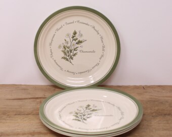 Corelle Thymeless Luncheon Plates - Main Image