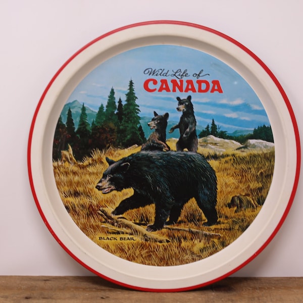 Vintage Round Wild Life of Canada - Black Bear -  Metal Tray