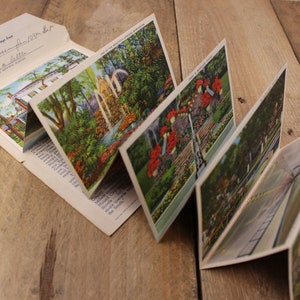 Beautiful Alabama - The Star of the South - Dossier de cartes postales souvenir - D-6554 - Estampillé