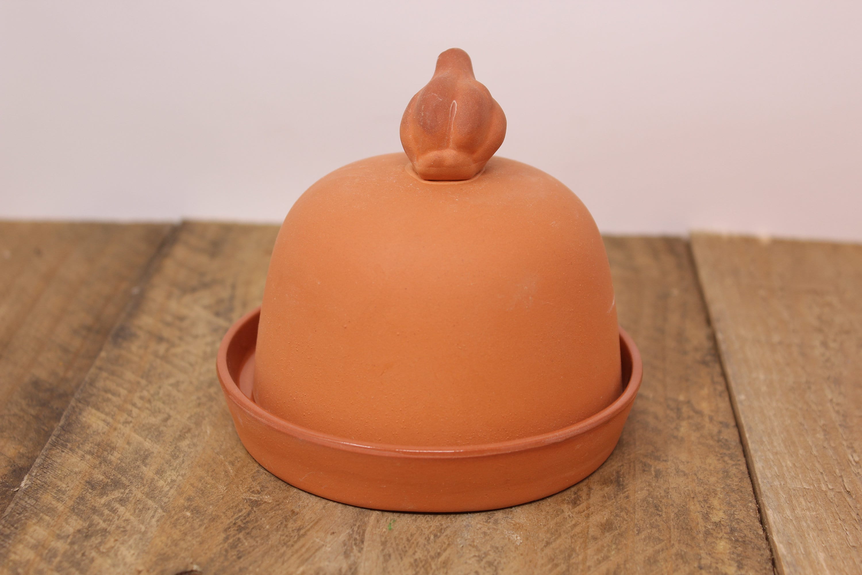 Terra Cotta Garlic Baker by Boston Warehouse Trading Etsy