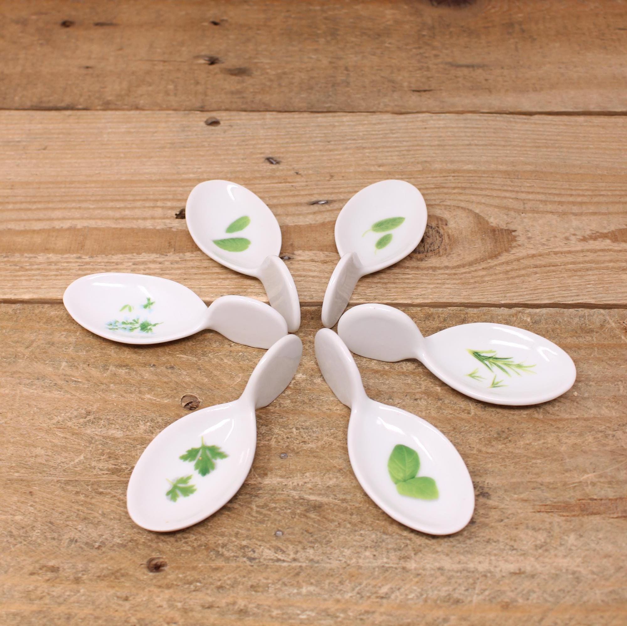 Porcelain Appetizer Spoons: Chinese Style Ceramic Tasting Spoons